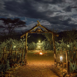 credit: wellworthcollection