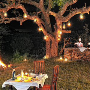 serengeti_migration_camp_-_dining_-_barbeque_dinner