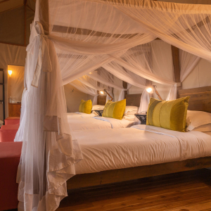 Sayari Family tent single bed room 