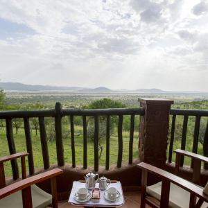 serenaserengeti-26