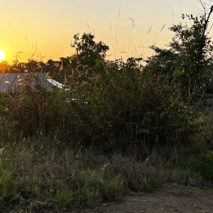 Zugang zu den Zelten