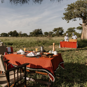 Elewana Tarangire Treetops Bush Meal