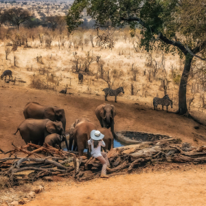Elefanten am kleinen Wasserloch