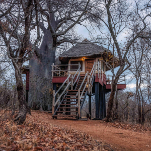 Tarangire Treetops Zugang