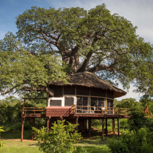 Treehouse Suite von Außen