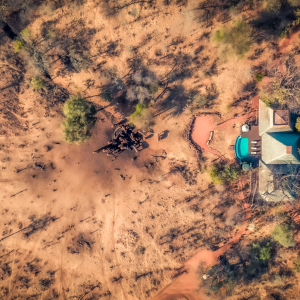 Tarangire Treetops Overview