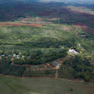 Ngorongoro Farm House von oben