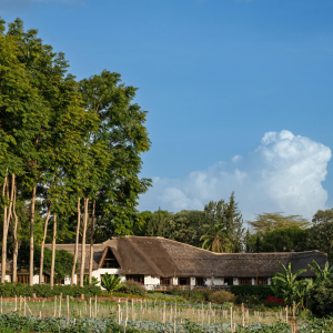 Ngorongoro Farm House Main House and Vegetable Garden