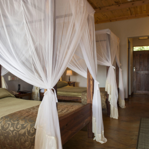 Garden view rooms Innenausstattung 