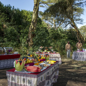 Bush Dinner