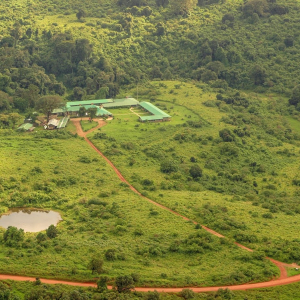 Rhino Lodge Overview