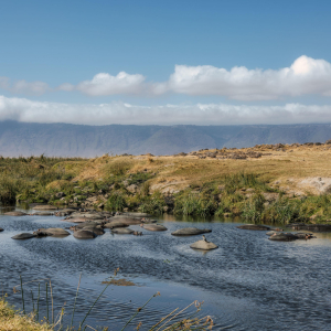 The Manor at Ngorongoro_3