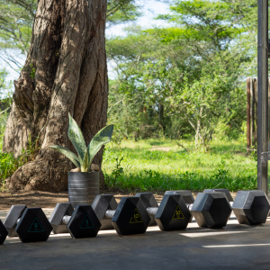 Hanteln im Fitnessraum