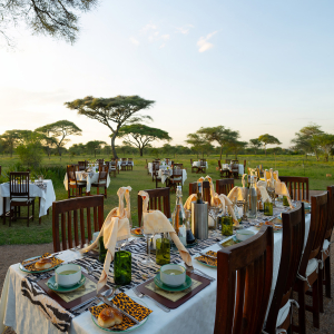 Abendessen Set-up im Freien