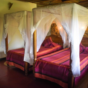 Bougaivellia Zweibettzimme rmit Einzelbetten