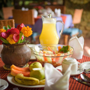 Bougaivellia Frühstück