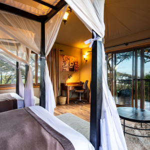 Ngorongoro-Lions-Paw_Twin_2-scaled