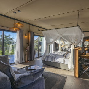 Tarangire-Elephant-Springs_Twin_3-scaled