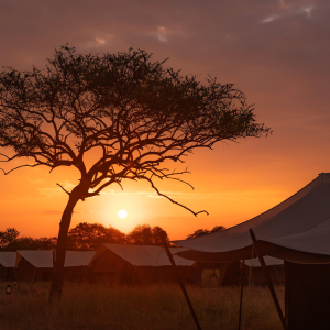 Sonnenuntergang im Camp