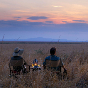Sundowner in der Wildnis