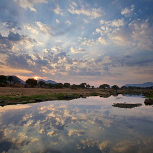 Landschaft Ruaha River Lodge