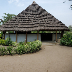 20230711_112403-scaled