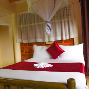 Standard Single Rooms