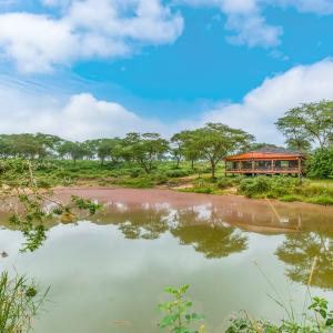 Bush Lounge von Außen
