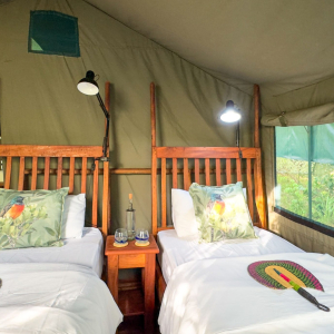 Zelt mit zwei Einzelbetten
