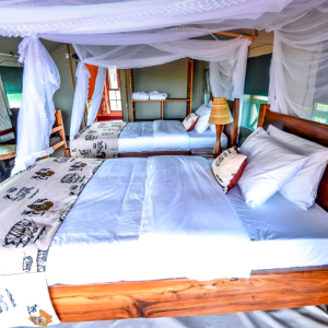 Zelt mit zwei Einzelbetten