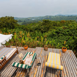 Terrasse mit Liegen und Ausblick auf die grüne Landschaft