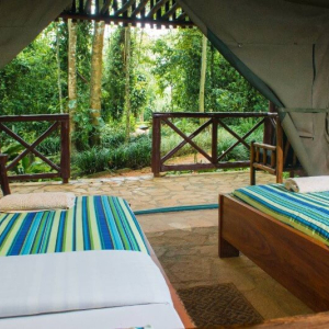 Safari Tents mit zwei Einzelbetten