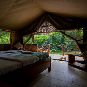 Ausblick Safari Zelt