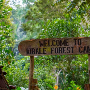 Willkommens Schild Kibale Forest Camp