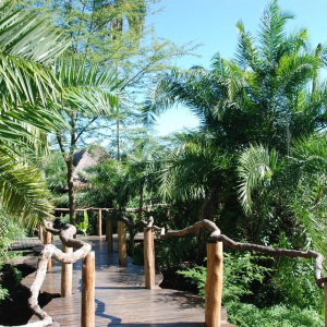 Holzwege zu den Unterkunftsbereichen