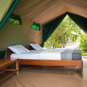 DSC_4165-edited-Pixlr