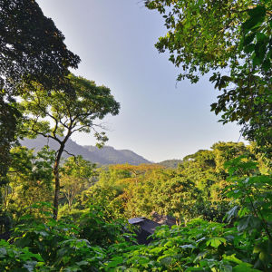 Ausblick der Unterkunft