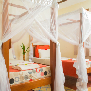 Zwei Einzelbetten mit Moskitonetz