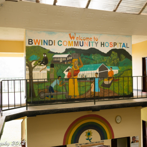 Bwindi Community Hospital