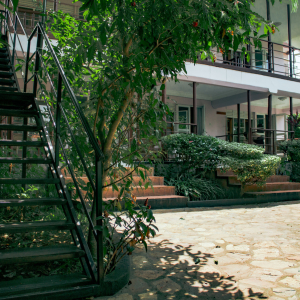 Gartenanlage und Aufgang Unterkünfte