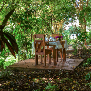 privates Essen im Garten