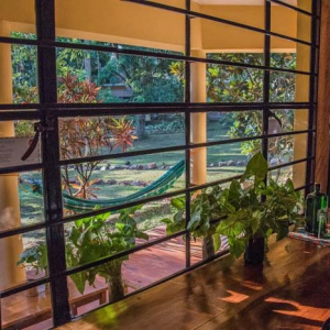 Ausblick Gartenanlage