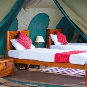Zelt mit zwei Einzelbetten