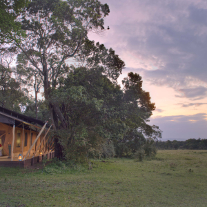 Elephant Pepper Camp - Honeymoon Tent (4)