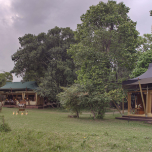 Elephant Pepper Camp - Library & Private Dining Tent (1)