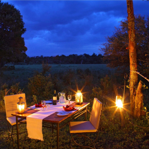 Elephant Pepper Camp - Luxury Safari Tents (3)