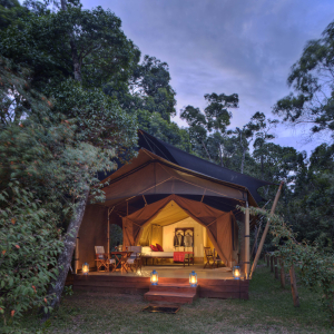 Elephant Pepper Camp - Luxury Safari Tents (7)