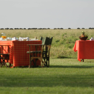 EPC - Breakfast at Camp with Wildebeest