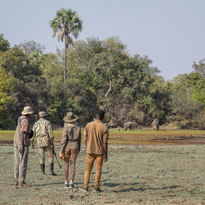 1744699678270_Bushwalk-MR-6