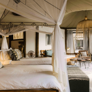 1754999347970ssh-ibis-room-fs2